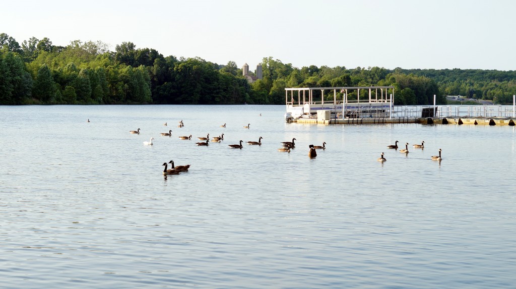 Black Hills Lake, taken with Sony A57